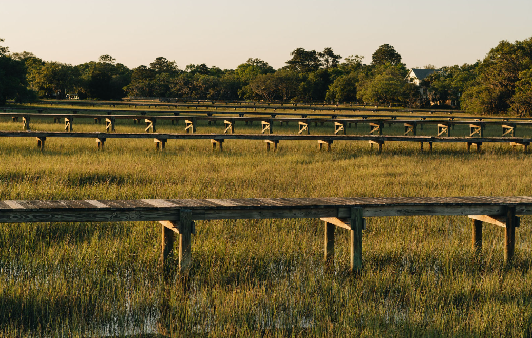 Recognizing Enoughness; Staying Small as a Values Driven Business