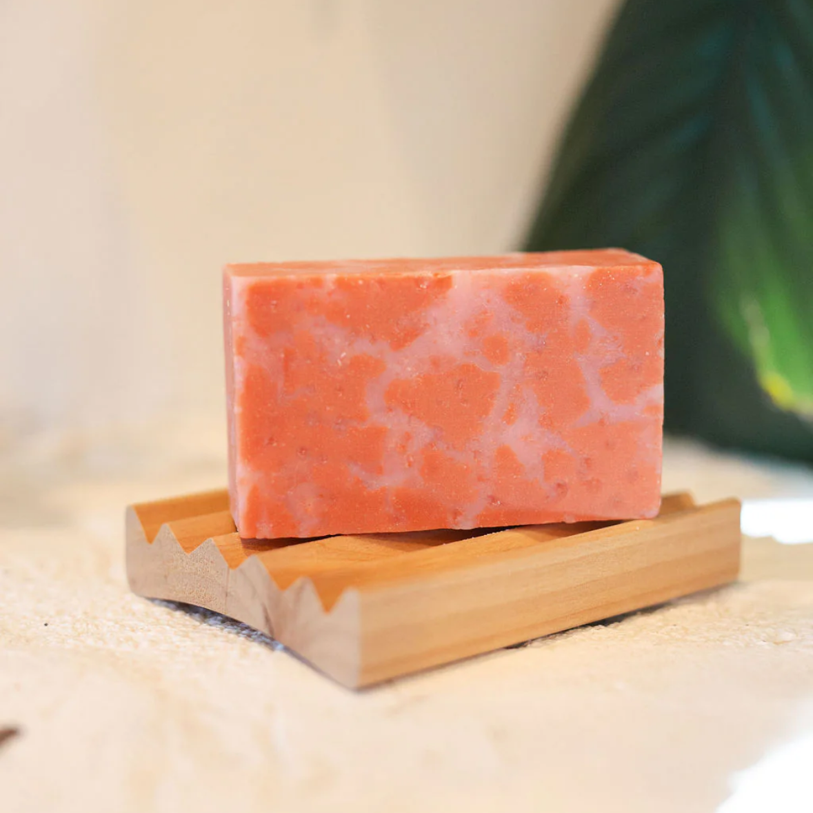 Sea Soap | Based in CHS