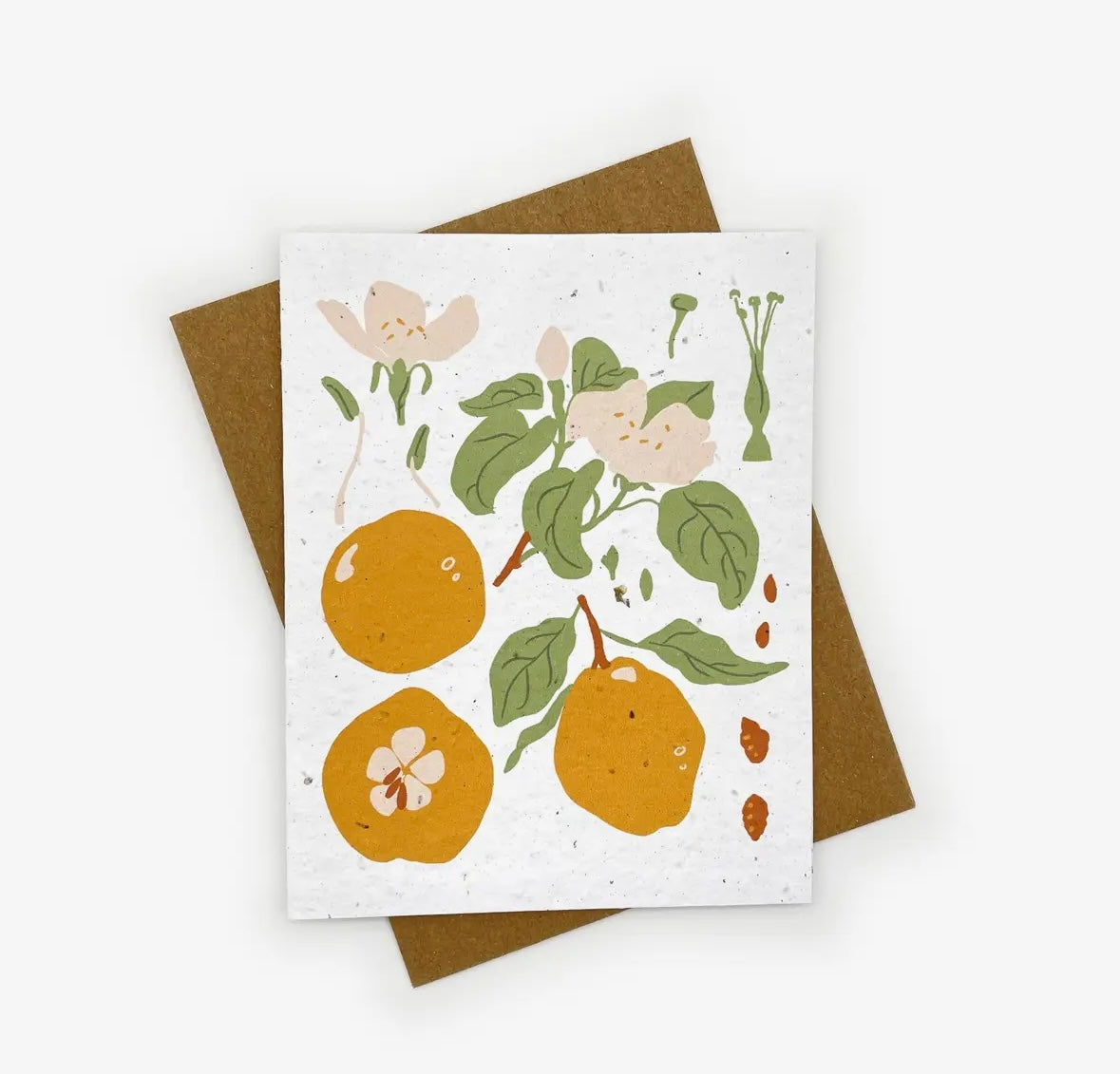 Plantable Greeting Card