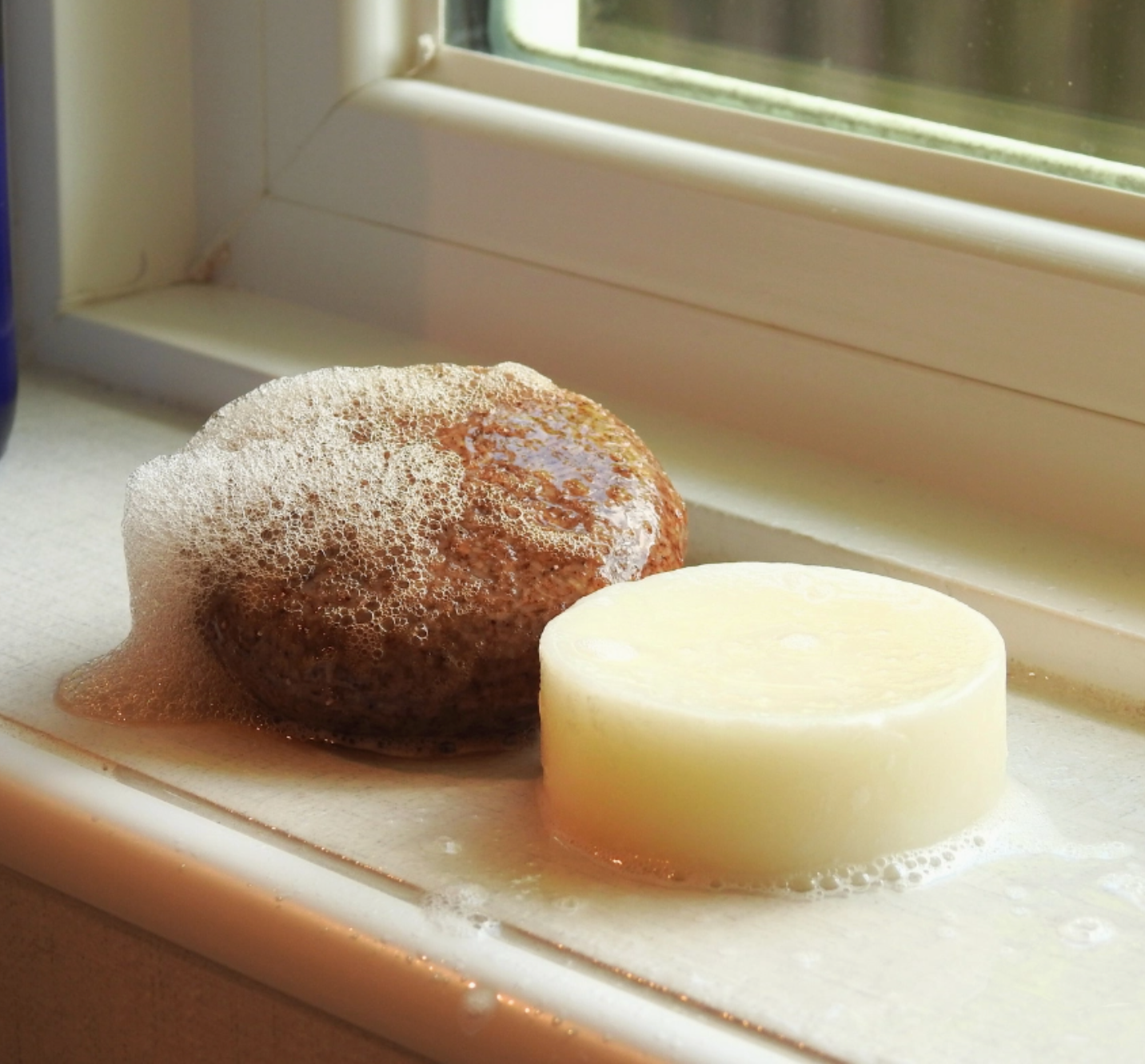 Shampoo Bar | Protecting and Regenerating