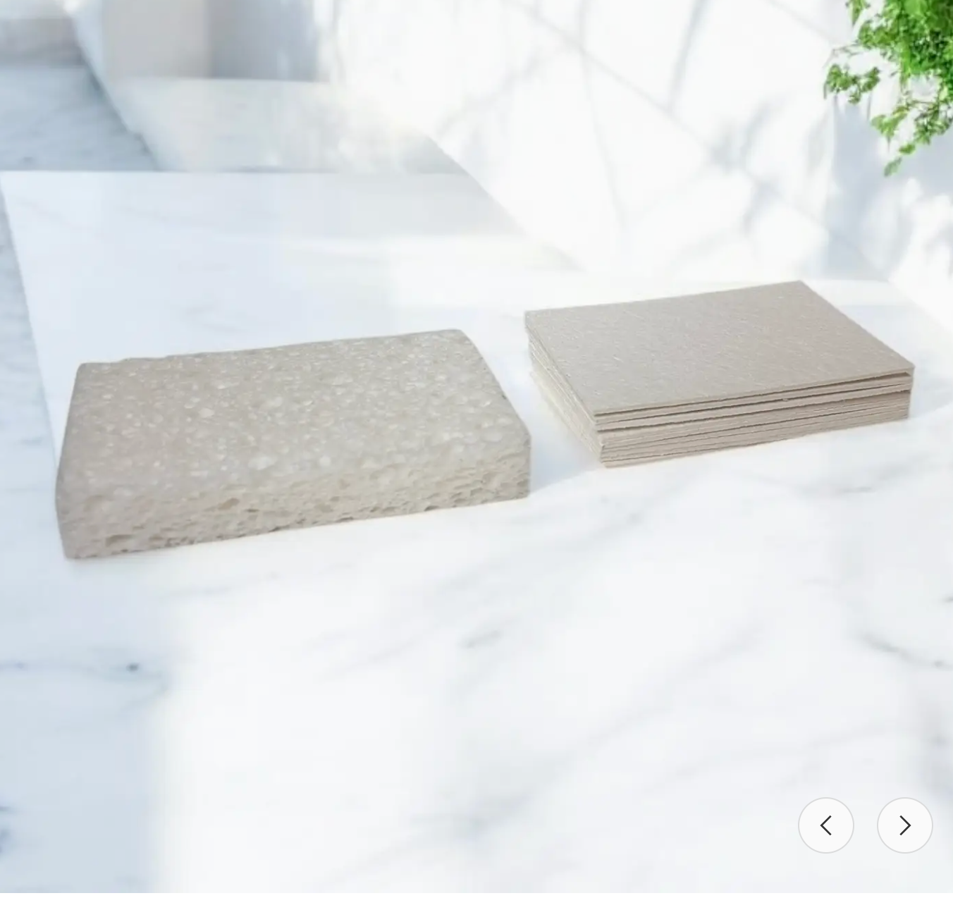 Compostable Pop-Up Sponge