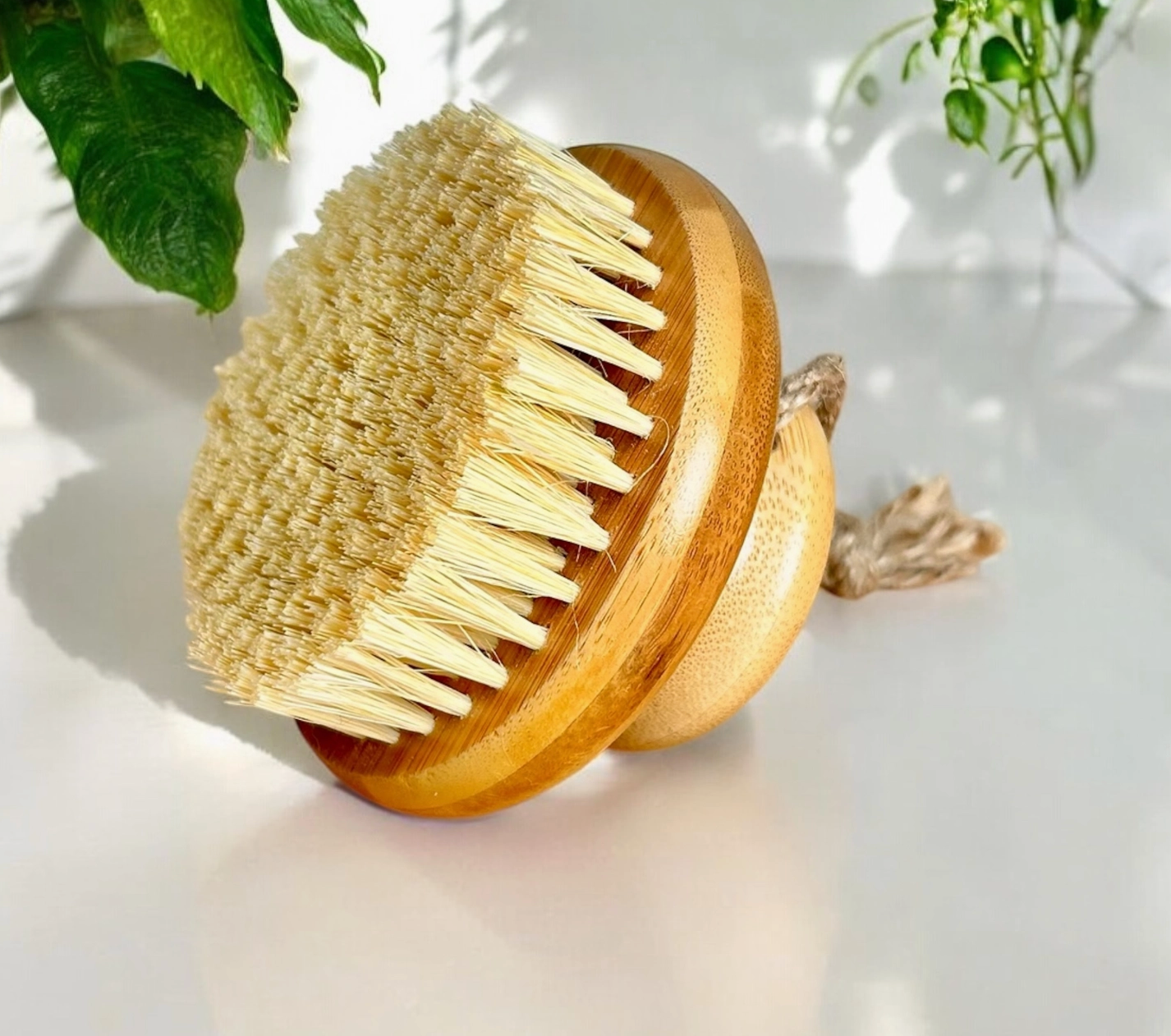 Dry Body Brush