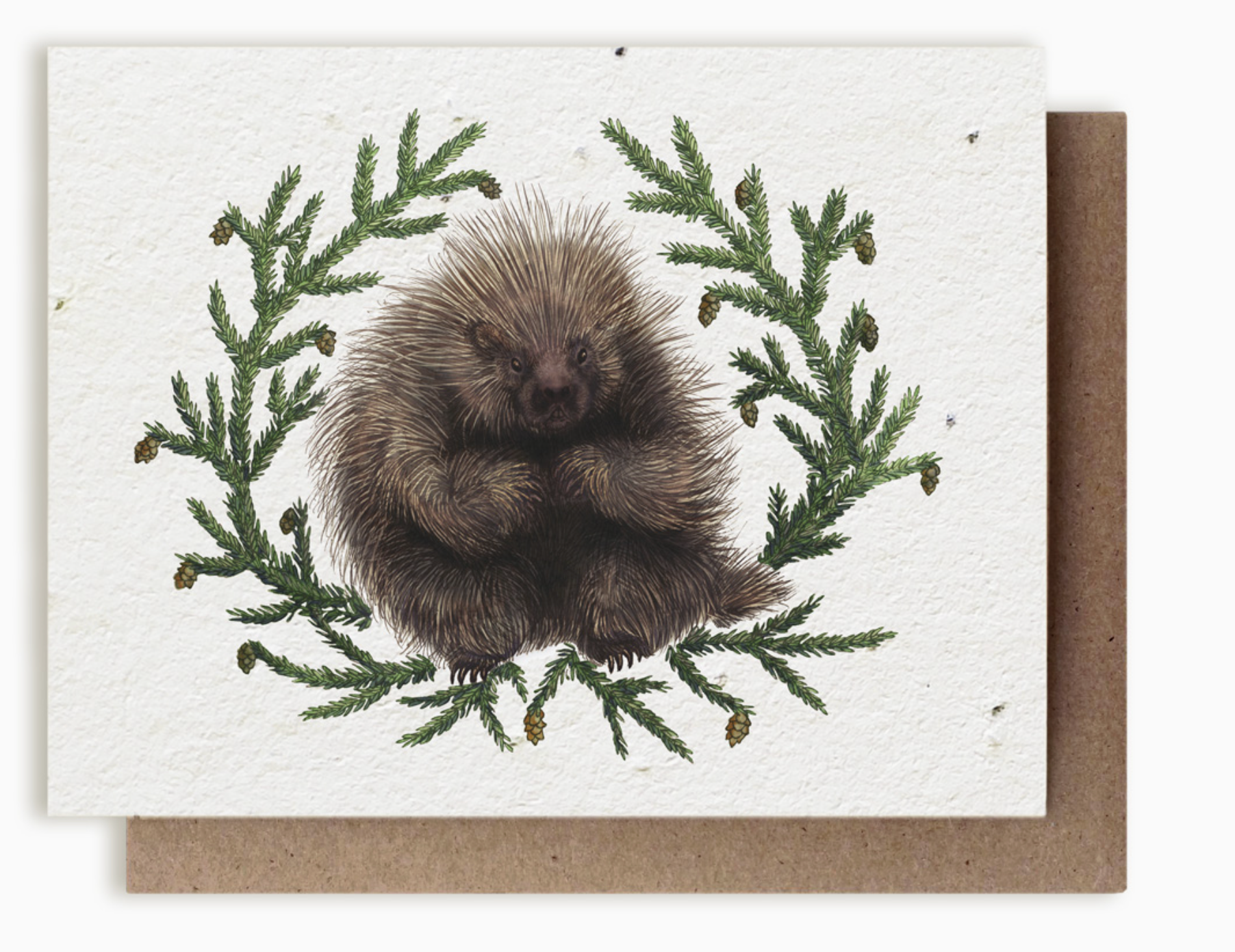 Plantable Holiday Cards
