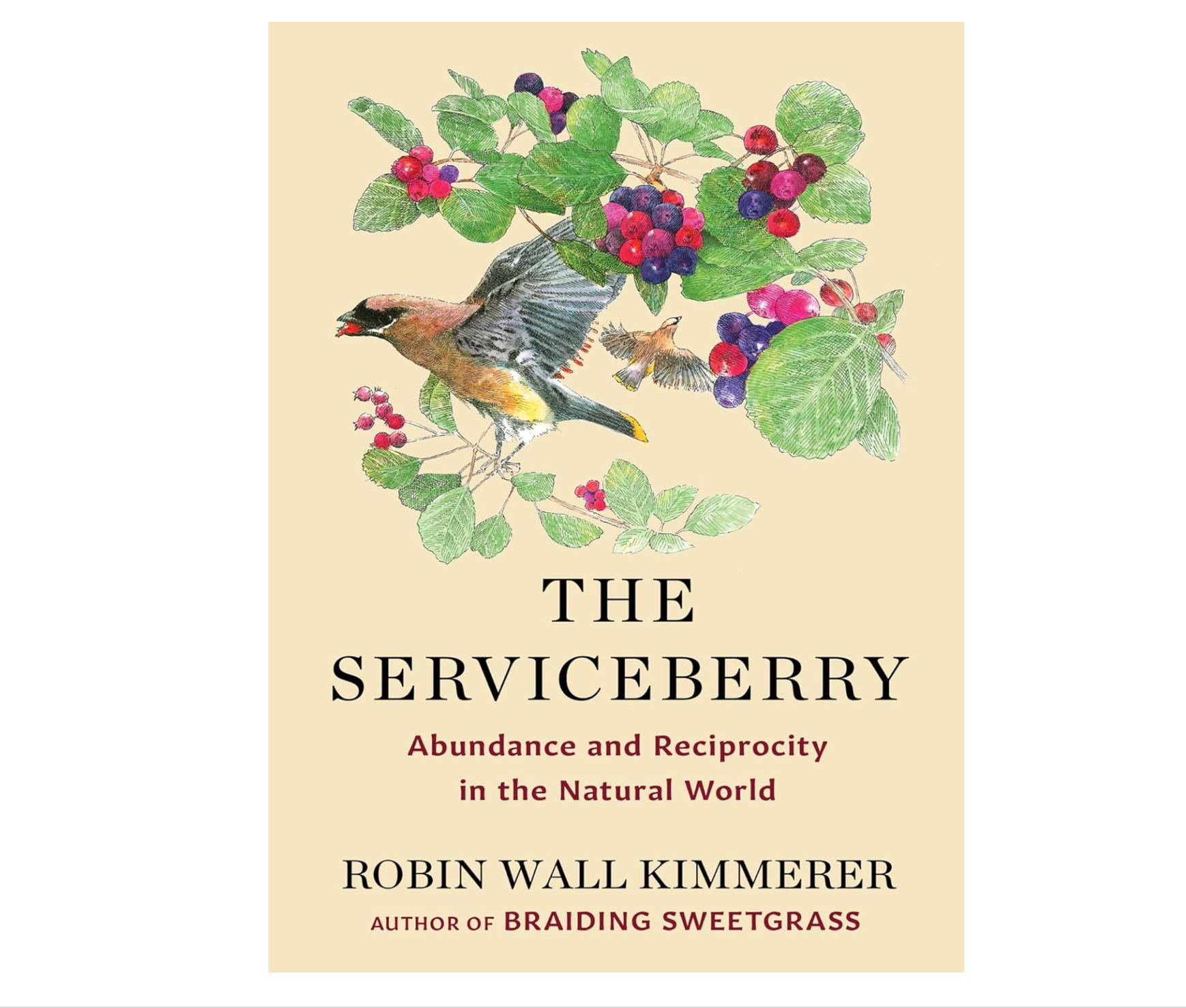 The Serviceberry